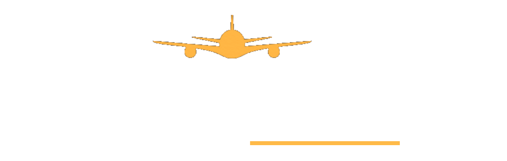 Naboishu logo